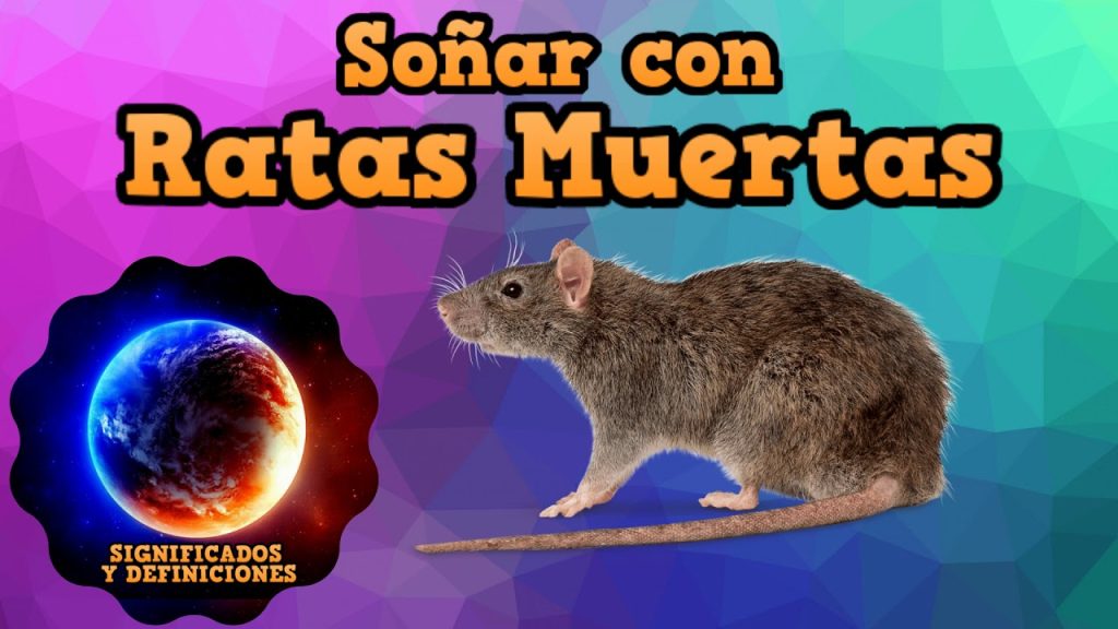 que significa sonar con ratas muertas