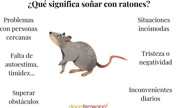 que significa sonar con ratas pequenas corriendo