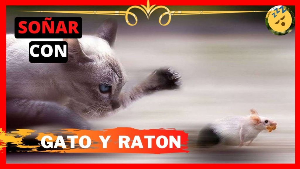 que significa sonar con ratas y gatos