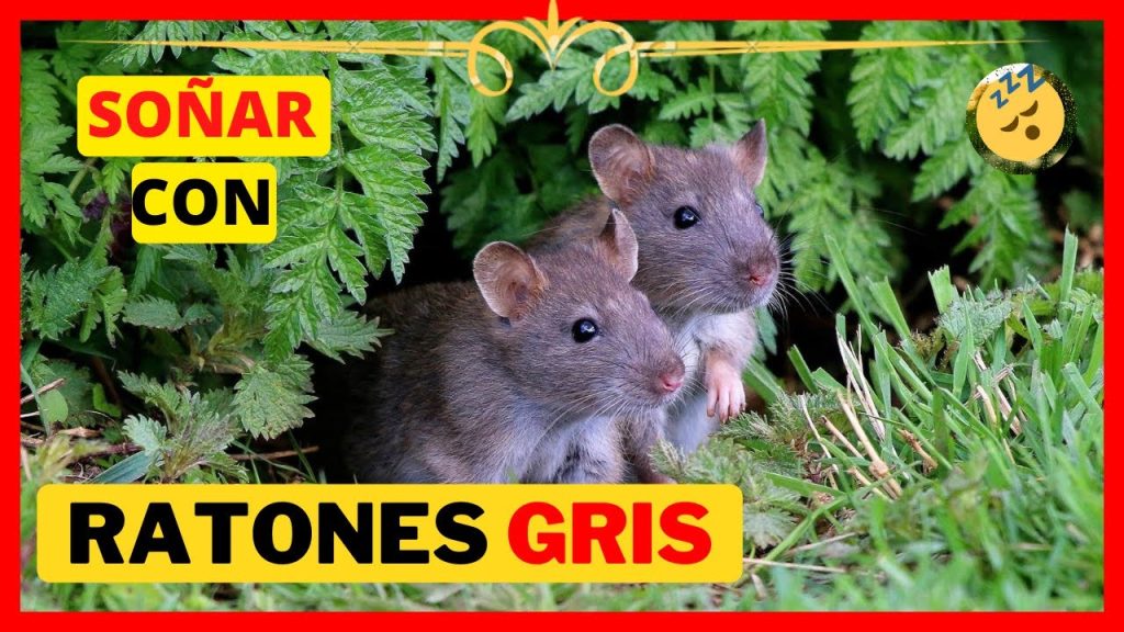 que significa sonar con ratones grises