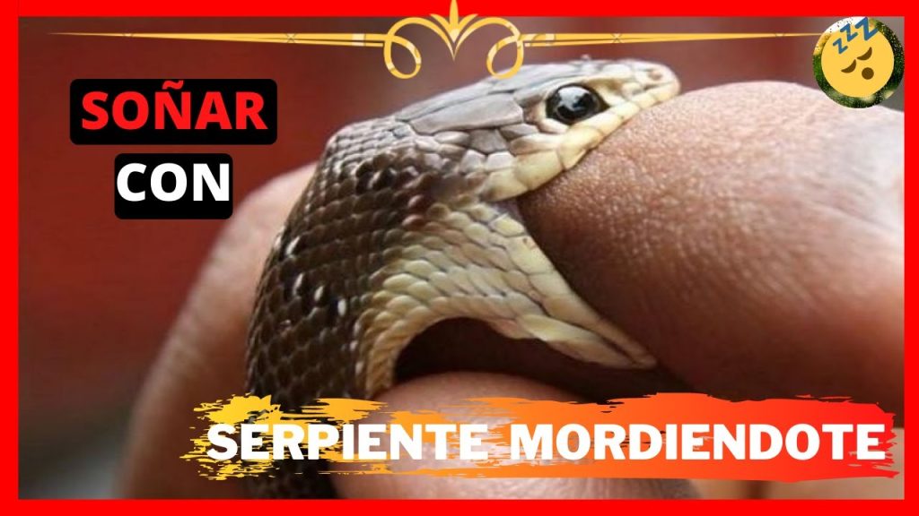 que significa sonar con serpientes que te muerden 1