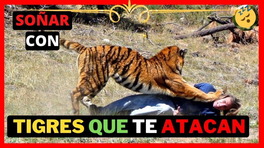 que significa sonar con tigres atacando