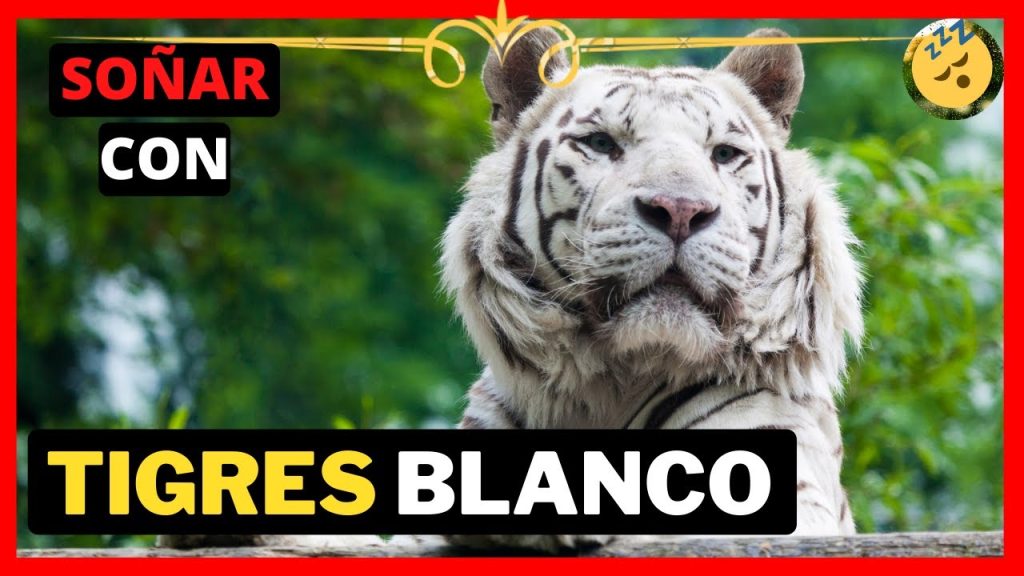 que significa sonar con tigres blancos