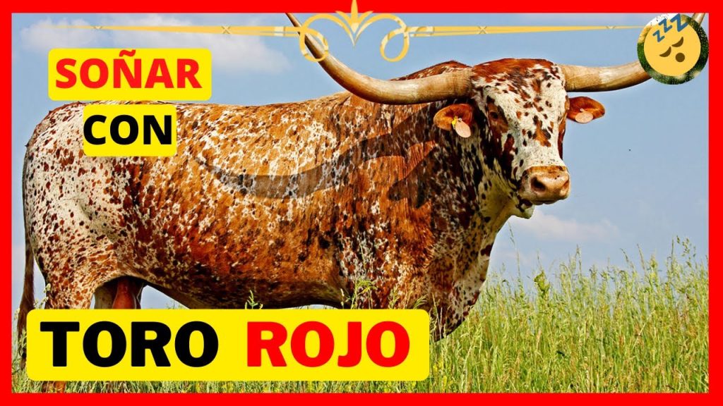 que significa sonar con toro rojo