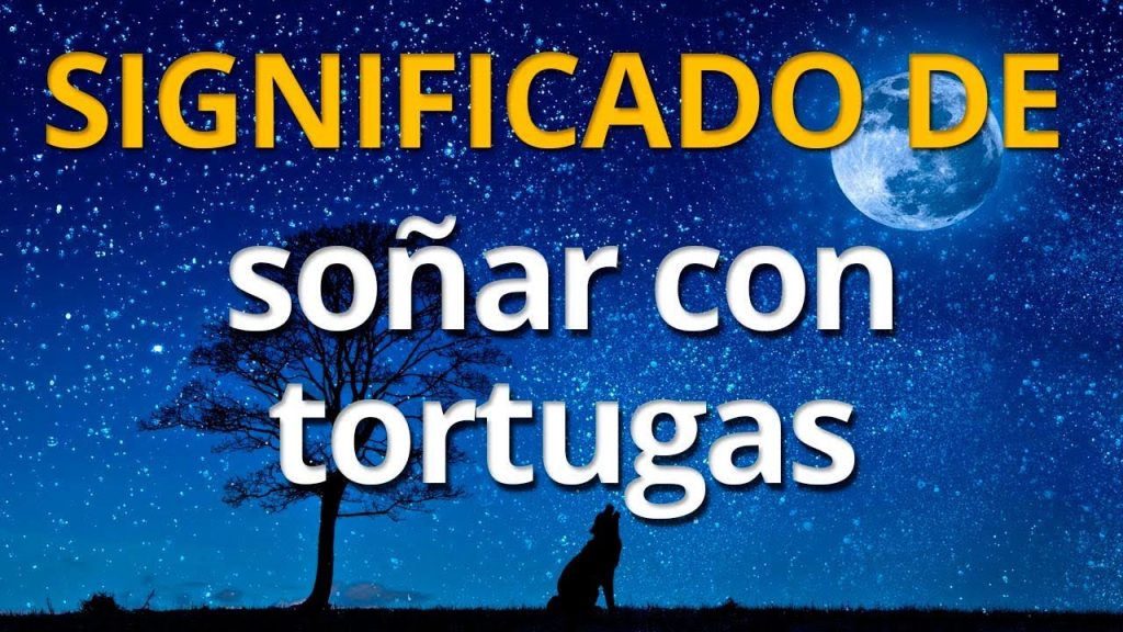 que significa sonar con tortuga