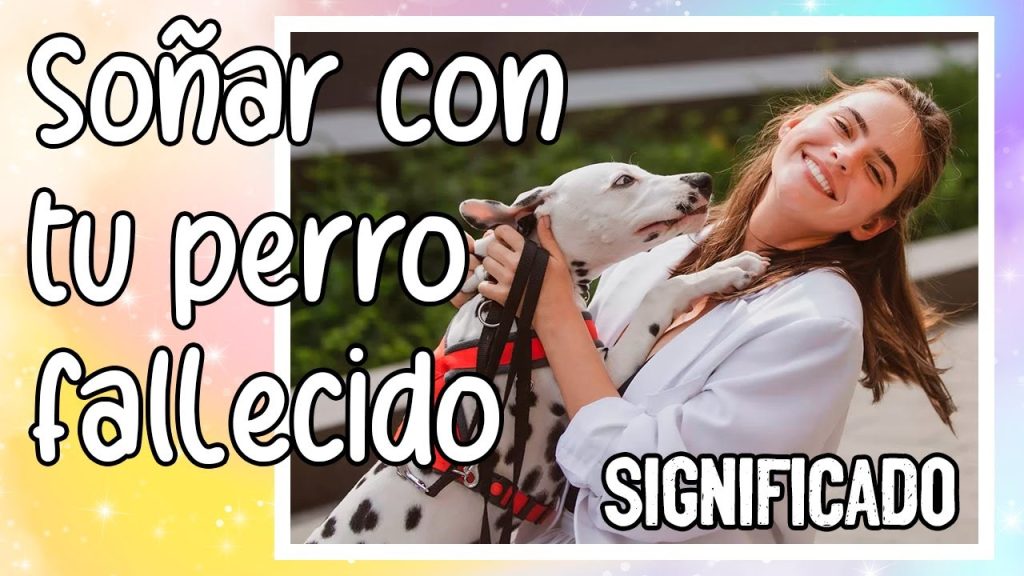 que significa sonar con tu perro muerto