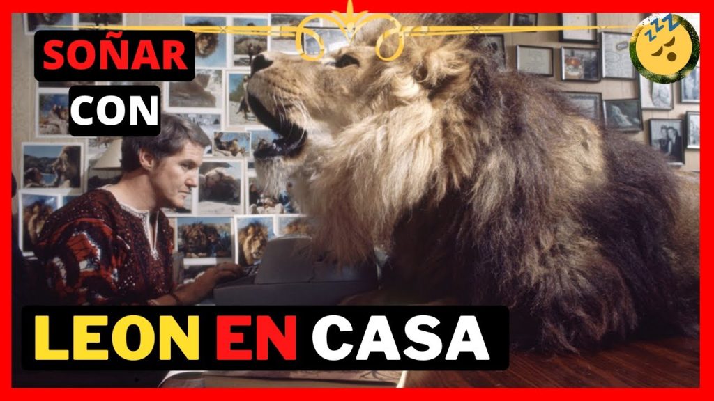 que significa sonar con un Leon en casa