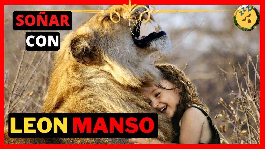 que significa sonar con un Leon manso