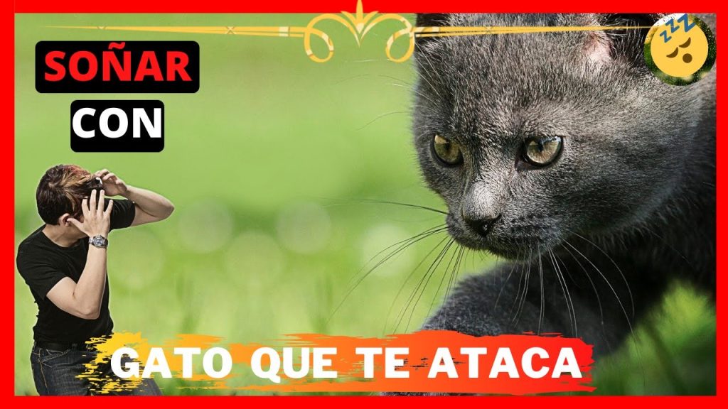 que significa sonar con un gato que te ataca