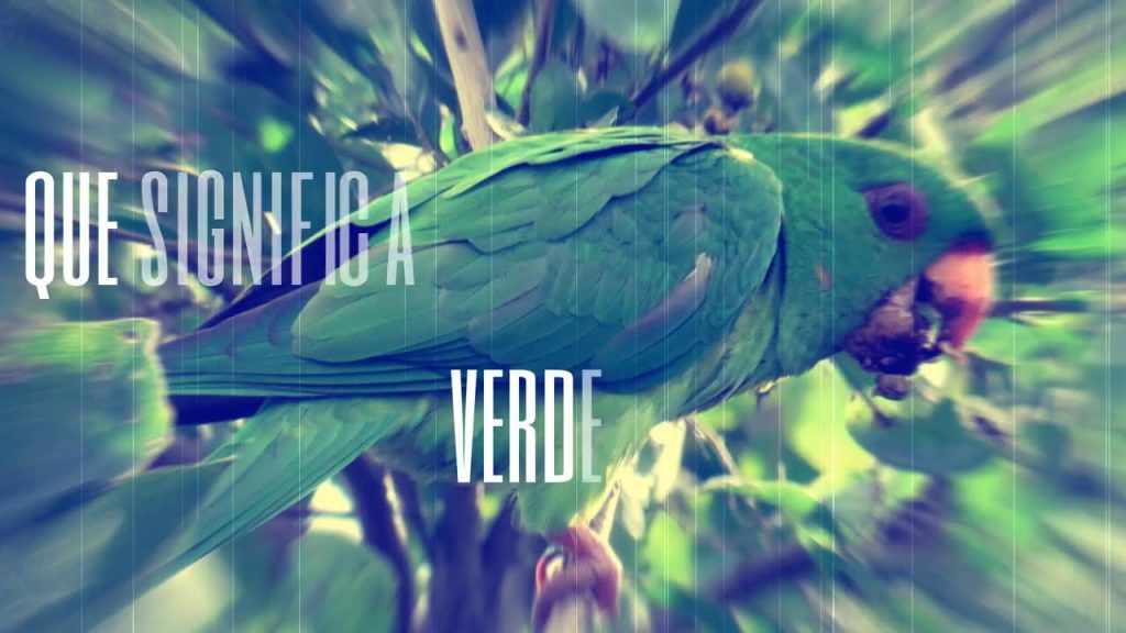 que significa sonar con un perico verde 1