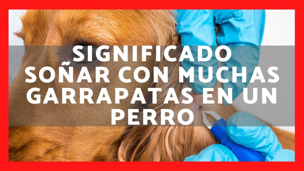 que significa sonar con un perro lleno de garrapatas