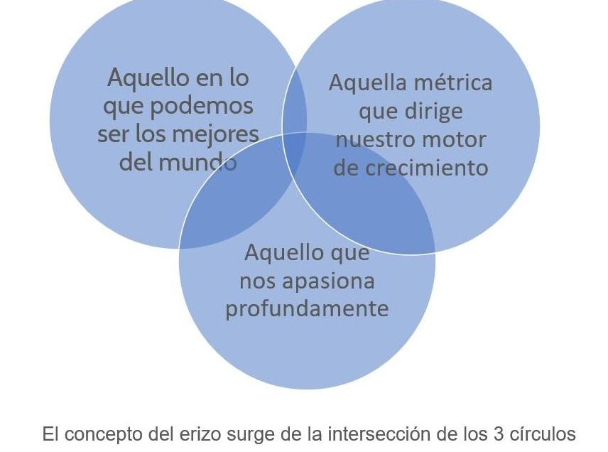 que significa sonar con un puerco espin