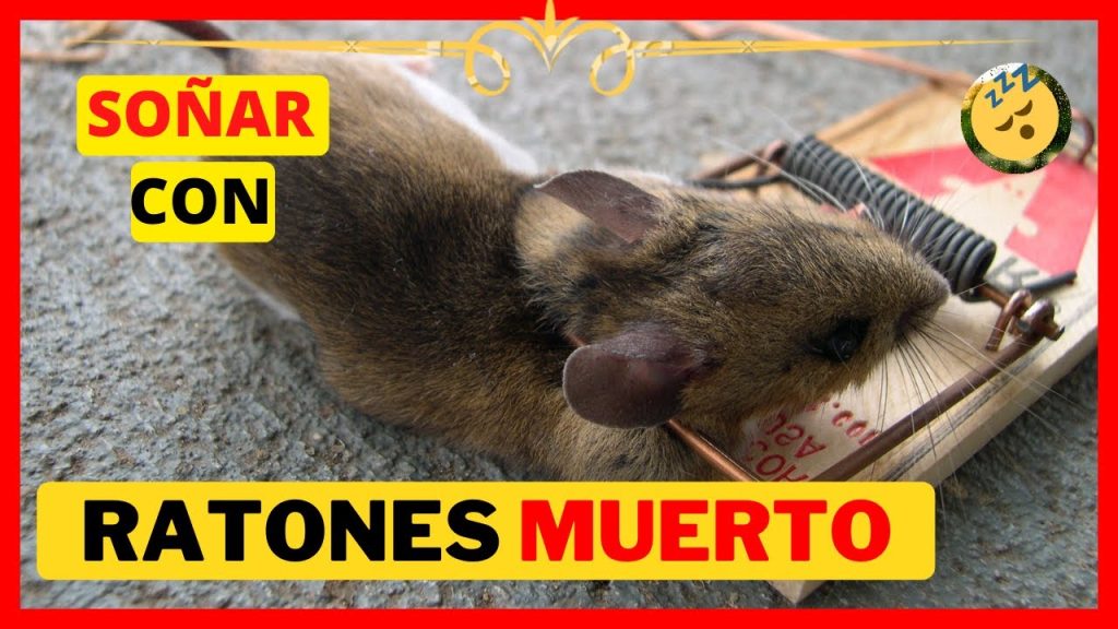 que significa sonar con un raton muerto