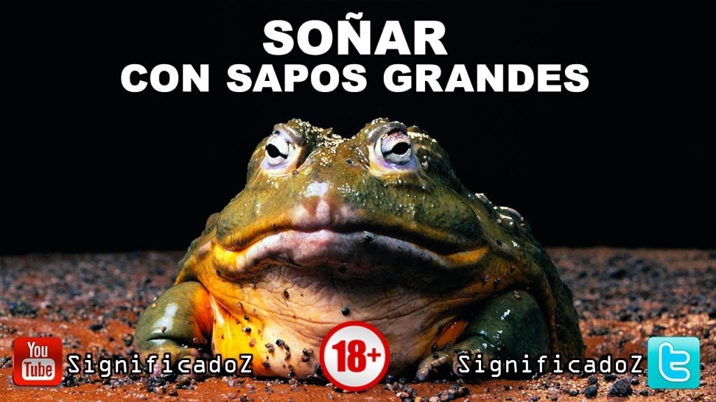 que significa sonar con un sapo grande y gordo