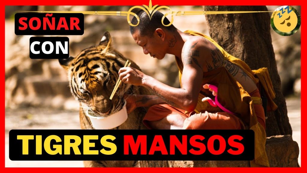 que significa sonar con un tigre manso