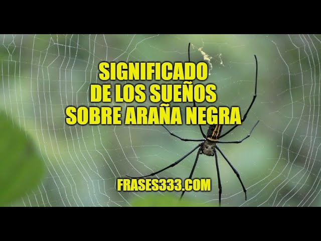 que significa sonar con una arana negra grande