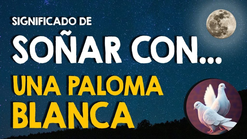 que significa sonar con una paloma blanca