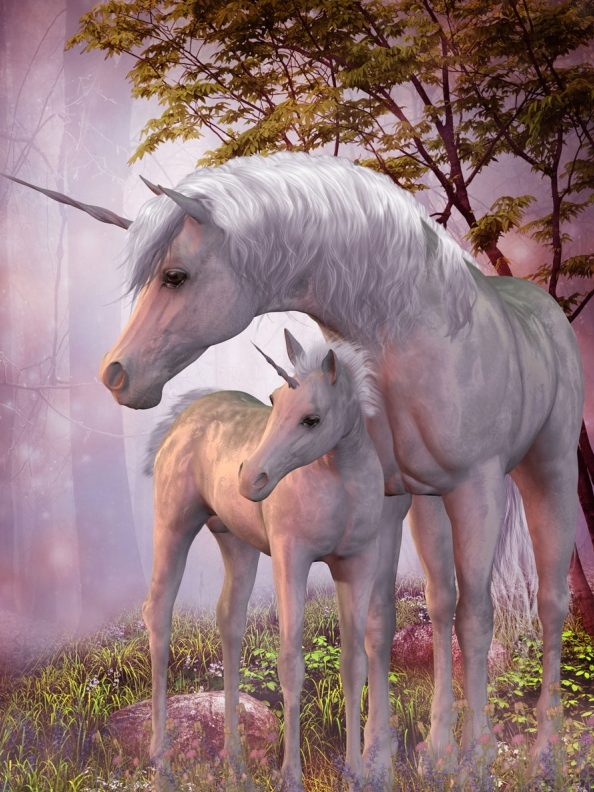 Qué Significa Soñar Con Unicornios