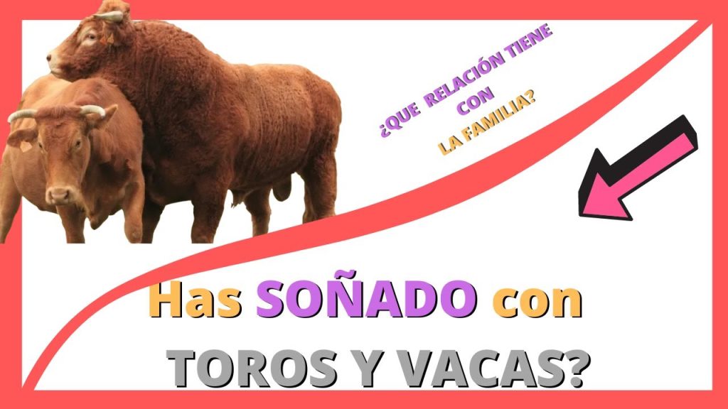 que significa sonar con vacas y toros