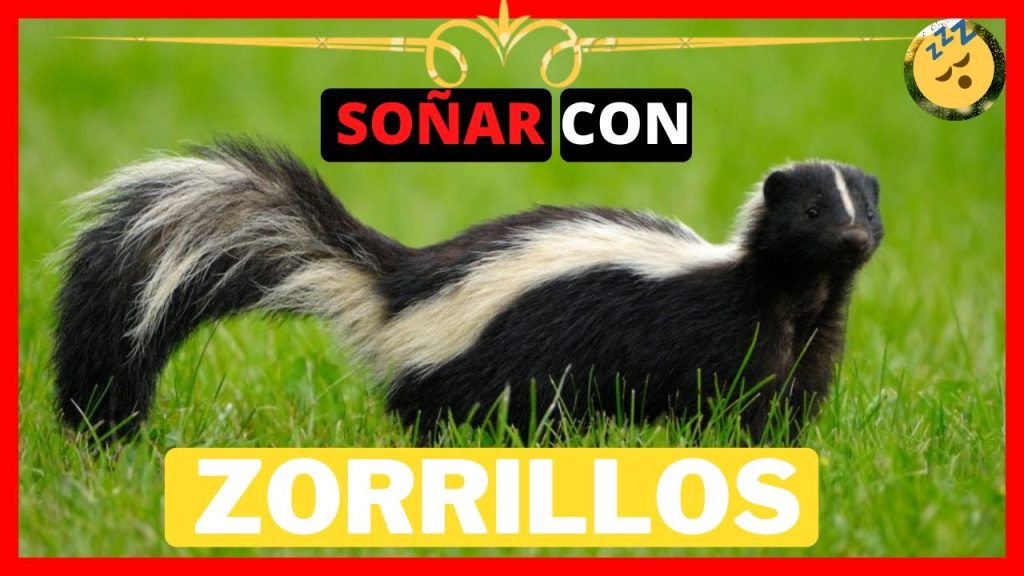 que significa sonar con zorrillos