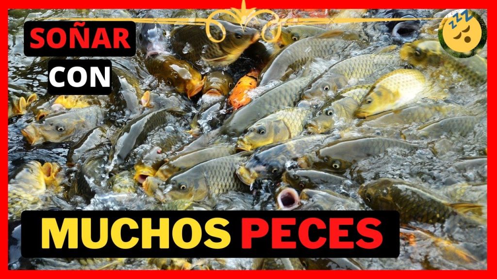 significado de sonar con muchos peces