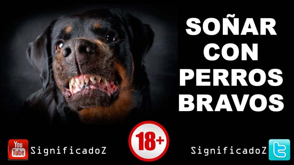 significado de sonar con perros bravos