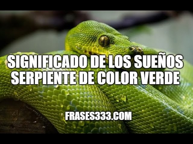 significado de sonar con serpientes verdes 1