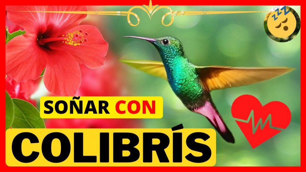 significado de sonar con un colibri­