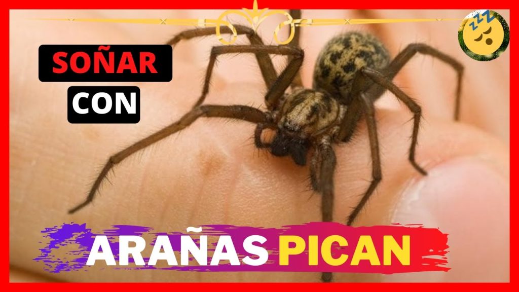 sonar con aranas que te pican