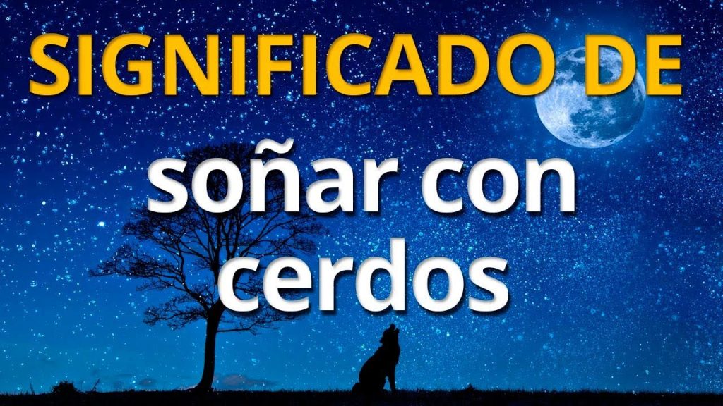 sonar con cerdos pequenos