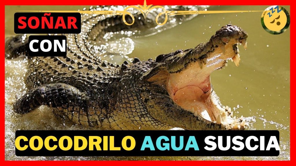 sonar con cocodrilos en agua sucia