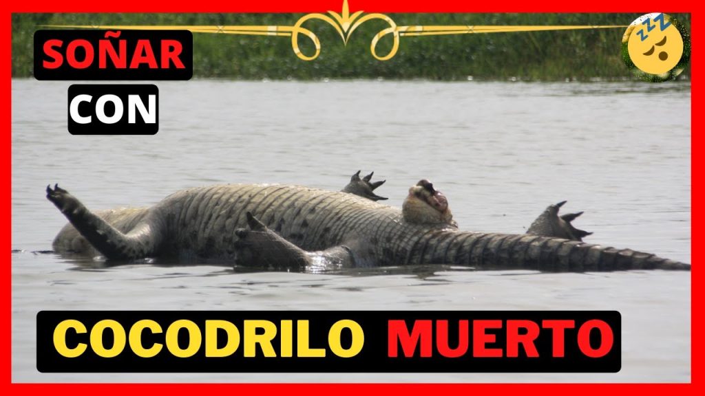 sonar con cocodrilos muertos