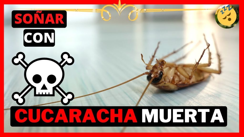 sonar con cucarachas muertas