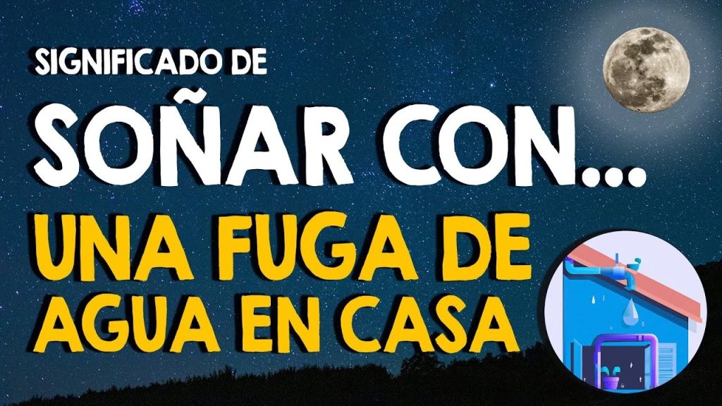 sonar con fuga de agua en casa ajena 1