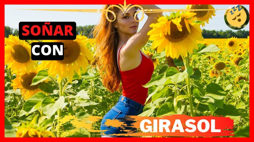 sonar con girasoles