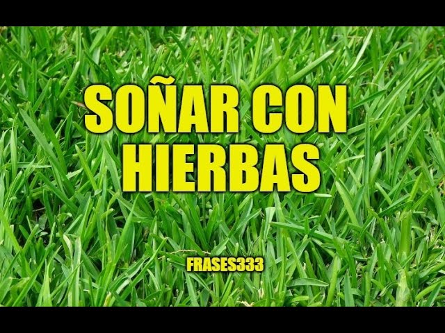 sonar con hierba verde