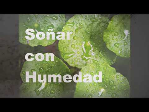 sonar con humedad en la casa