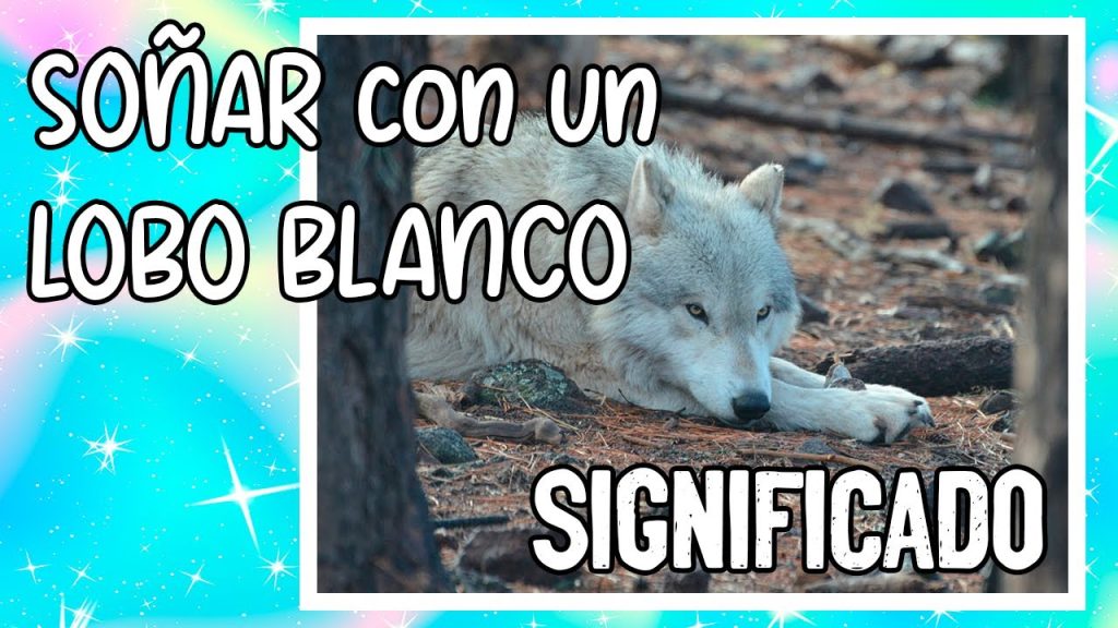 sonar con lobo blanco