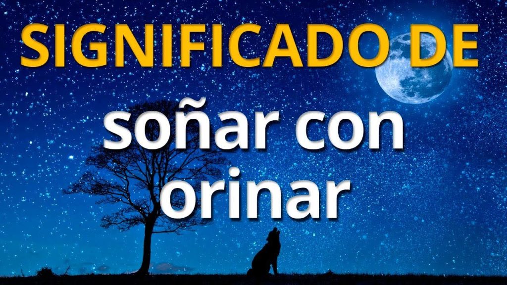 sonar con orinar en publico