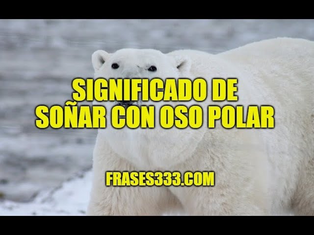 sonar con osos polares