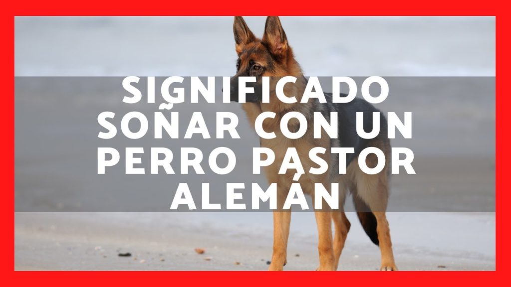 sonar con pastor aleman