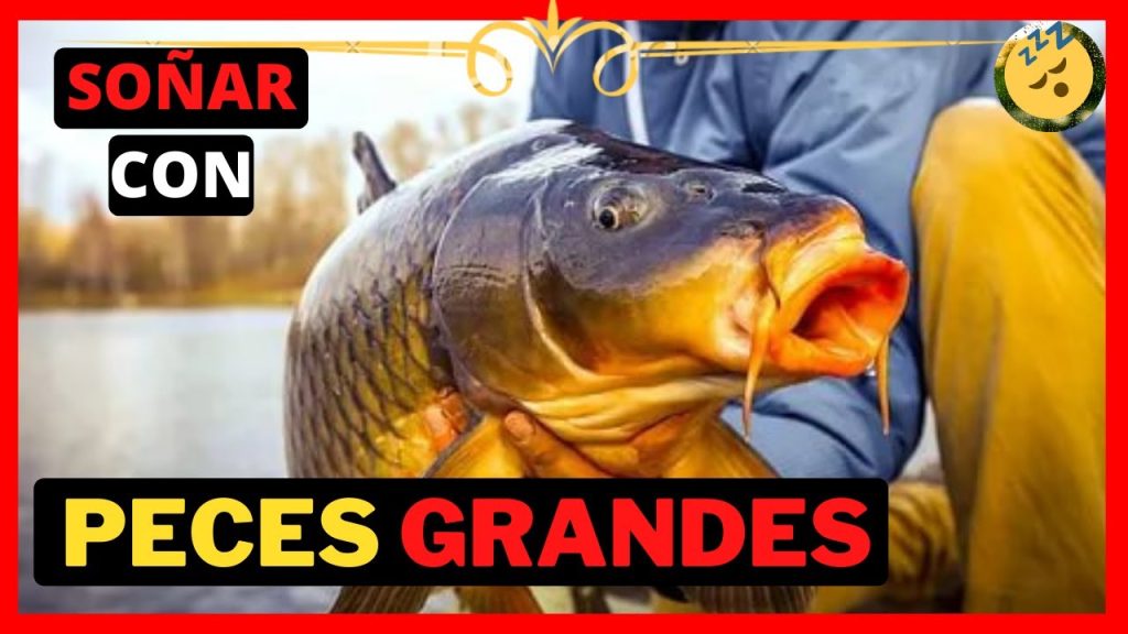 sonar con peces gigantes