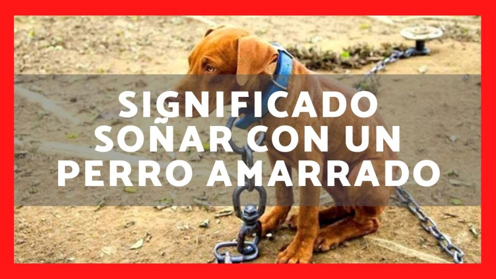 sonar con perro amarrado