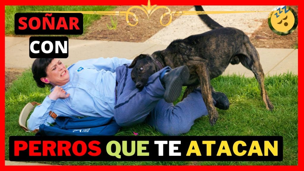 sonar con perros que te atacan