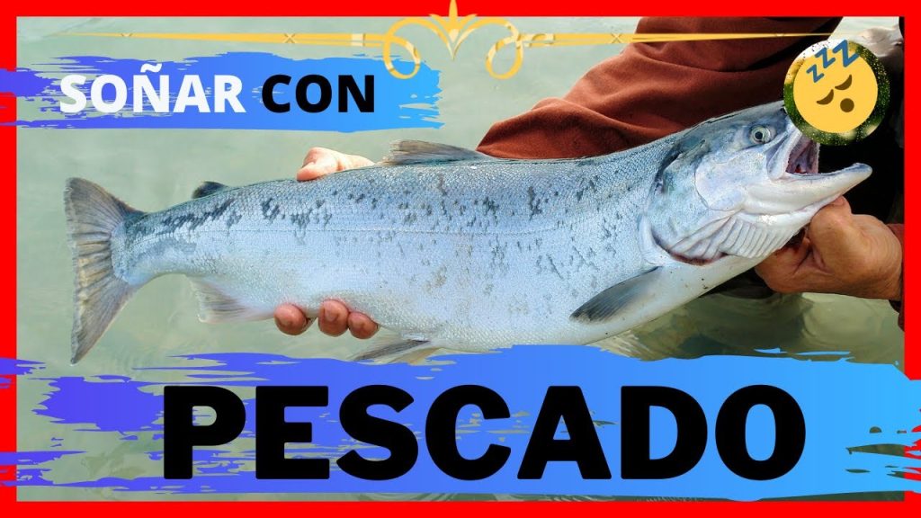 sonar con pescados frescos