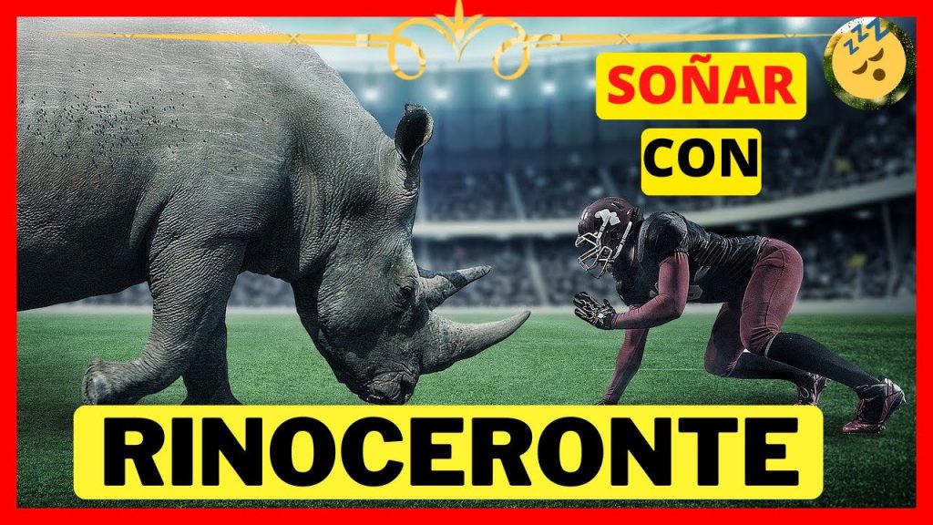 sonar con rinocerontes