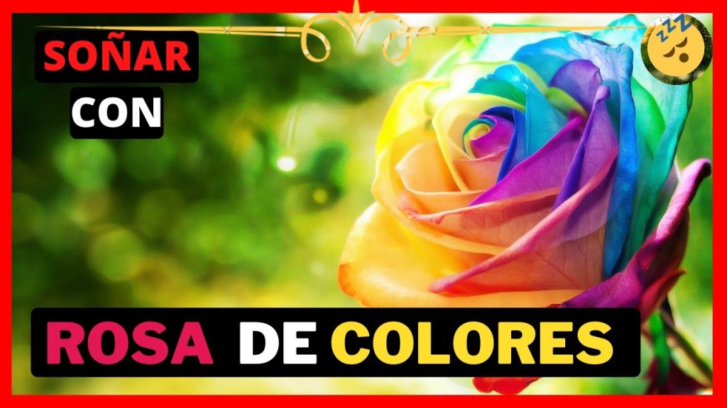 sonar con rosas de colores