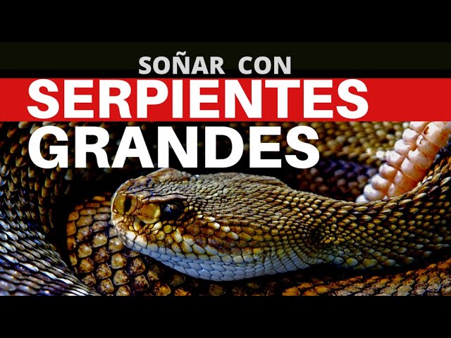 sonar con serpiente grande 1