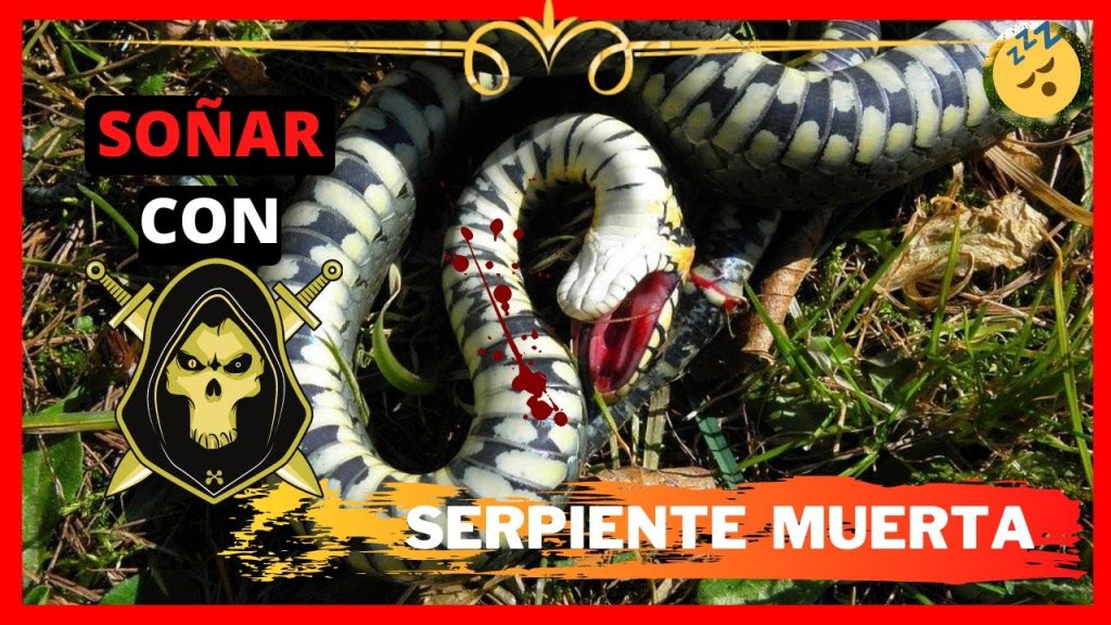 sonar con serpiente muerta