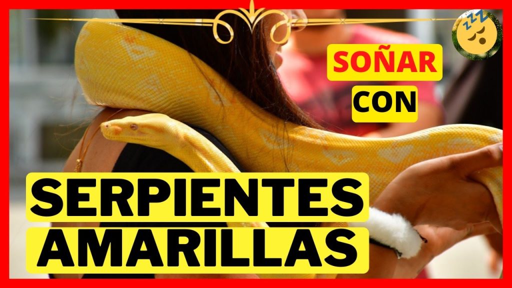 sonar con serpientes amarillas